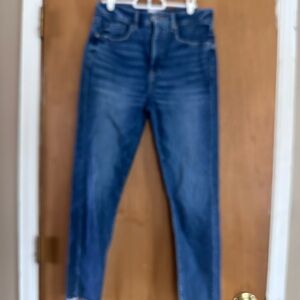 LOFT Dark Blue Ankle Jeans